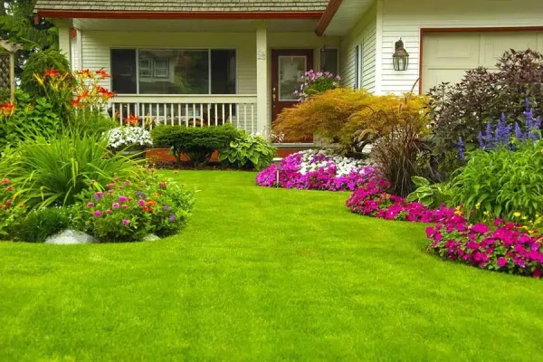 Lawn Care Services