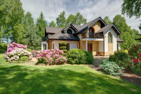 Luna Landscaping's Other Services