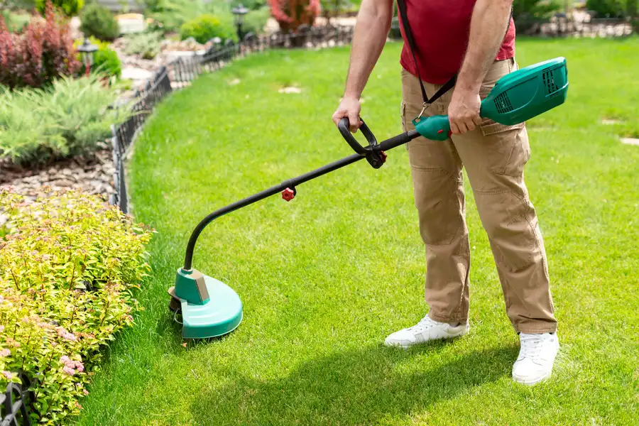 Affordable Lawn Care Services Dundalk, MD