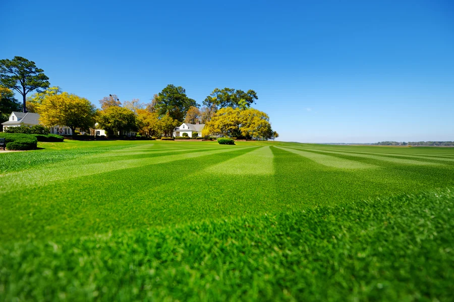 How Lawn Care Services Enhance Your Homes Curb Appeal in Dundalk, MD