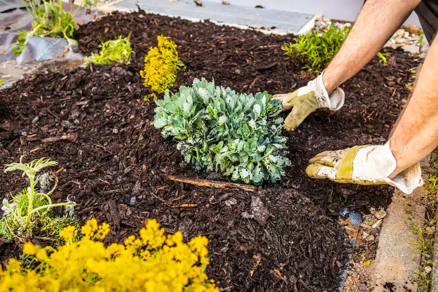 Premium Mulching Dundalk, MD