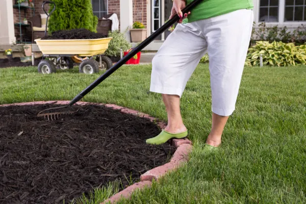 Quality Mulching Dundalk, MD