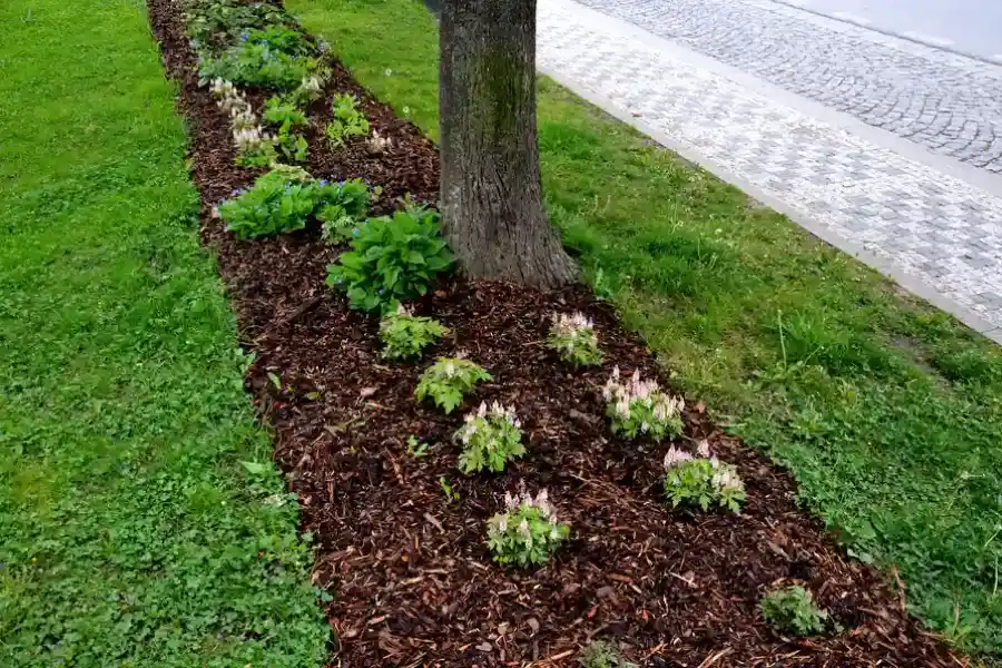 Superior Mulching Dundalk, MD