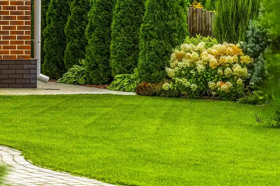 Top-rated Lawn Care Services Dundalk, MD